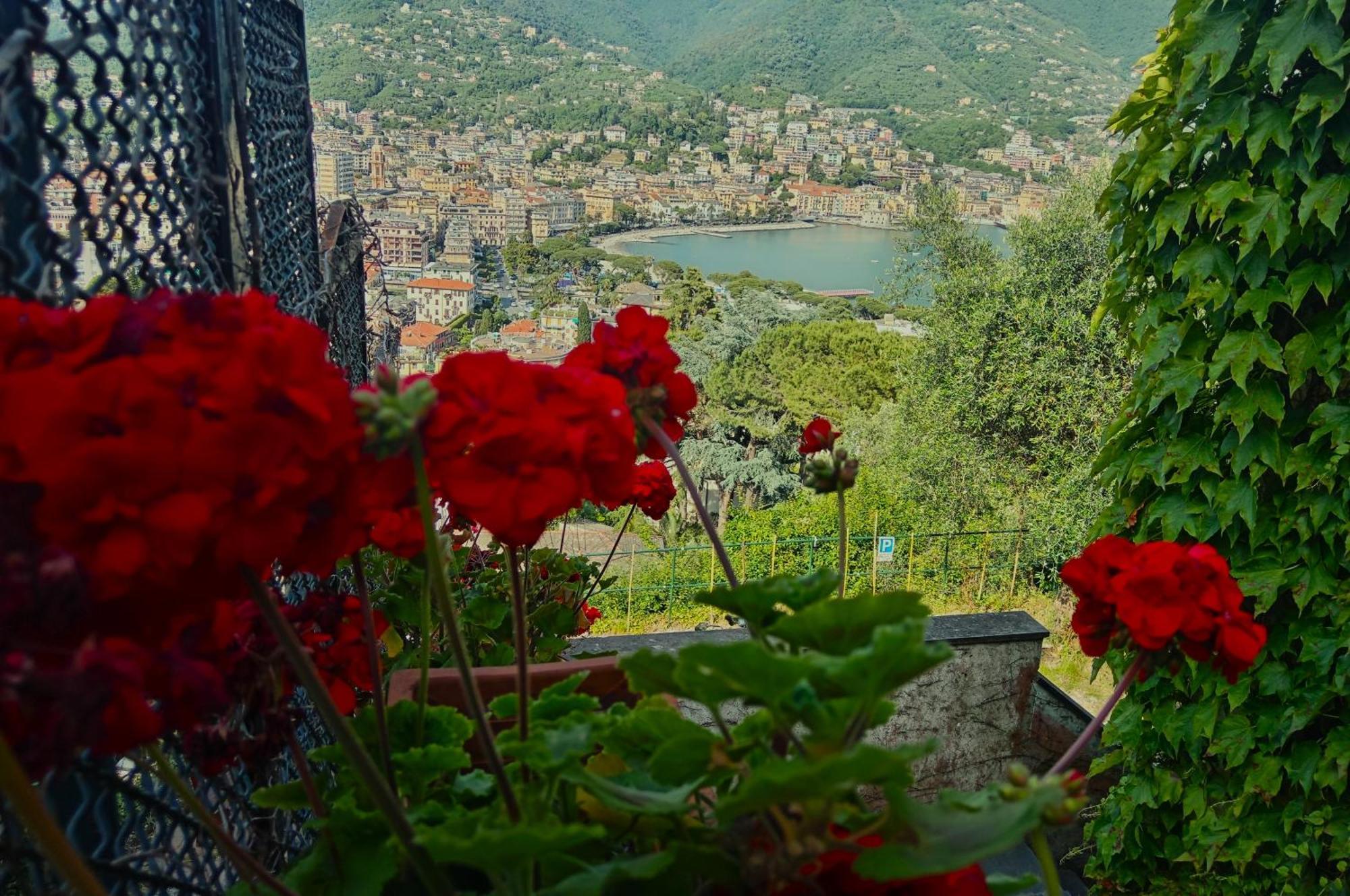 Sunrise Villa Rapallo Exterior photo